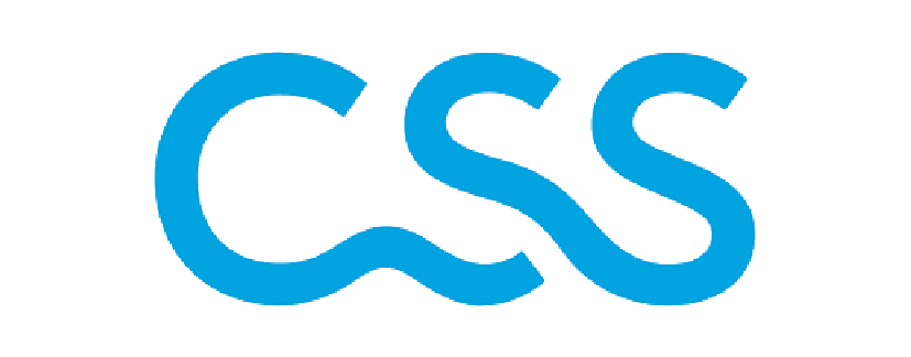 CSS